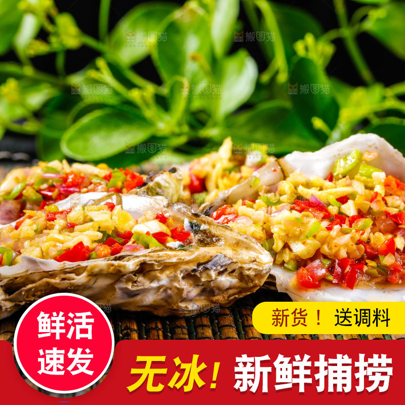 木底上放着生蚝