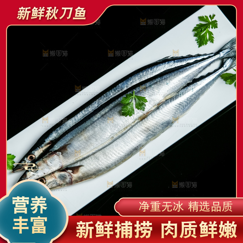 黑底上放着一盘秋刀鱼