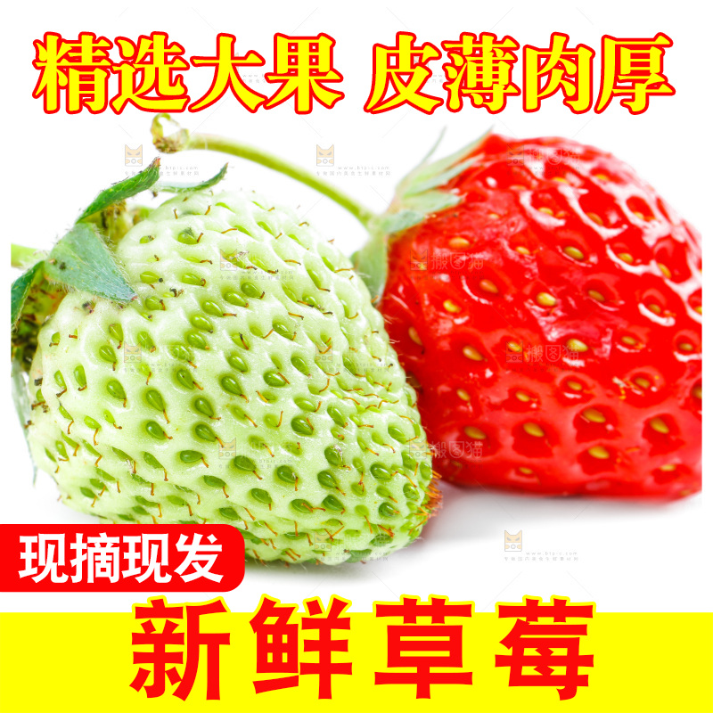 白底上的新鲜草莓