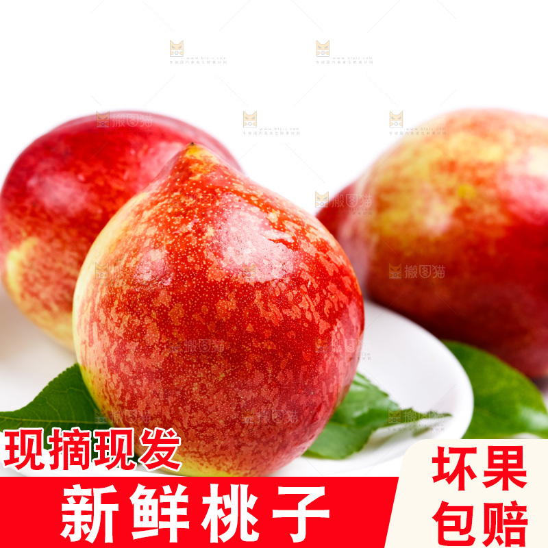 新鲜油桃放在白底上