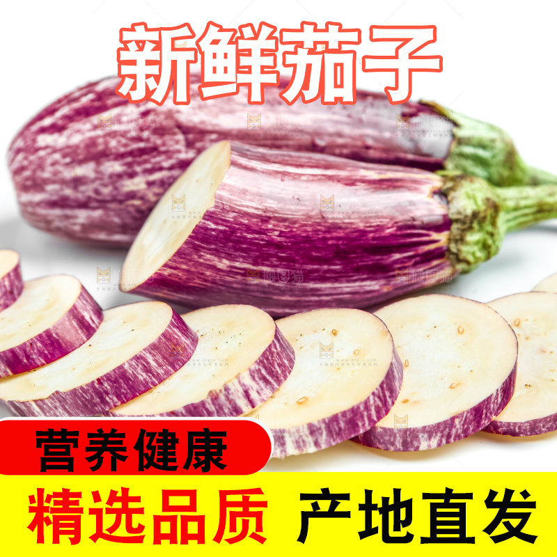 新鲜茄子放在白底上