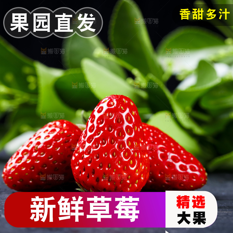 深底上放着99草莓