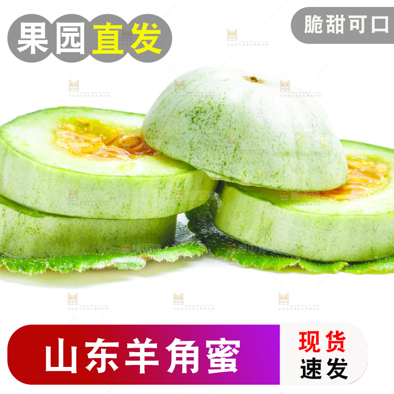 新鲜羊角蜜放在白底上