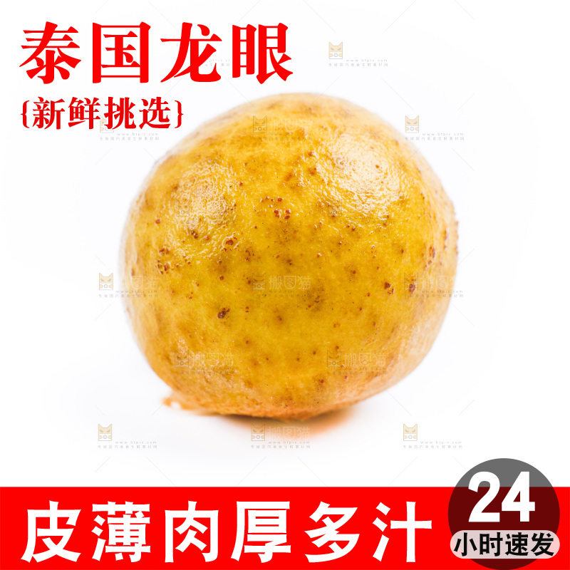 白底上的龙眼