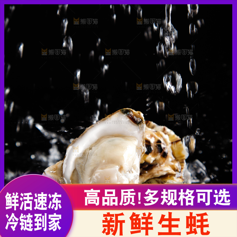 黑底上放着生蚝