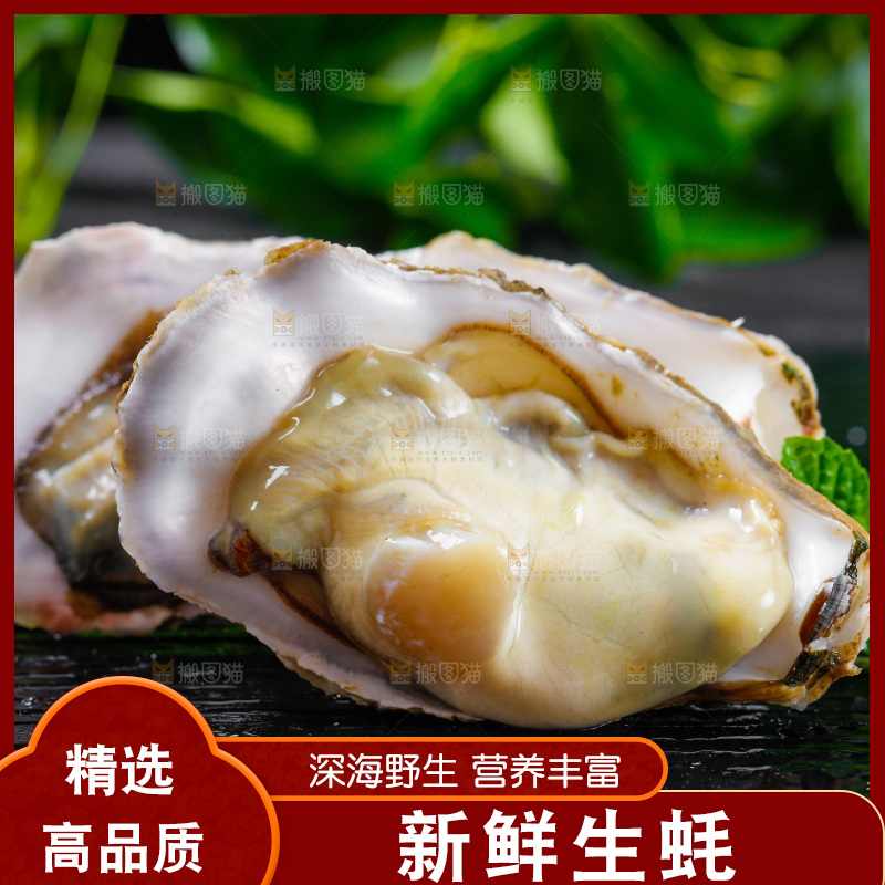 深底上放着牡蛎