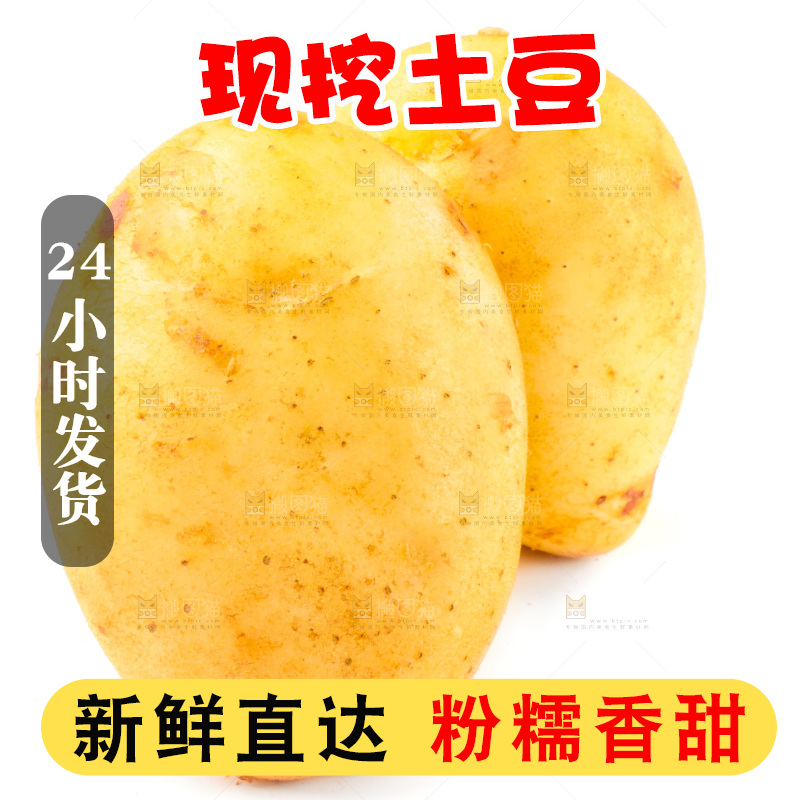 白底上的新鲜土豆
