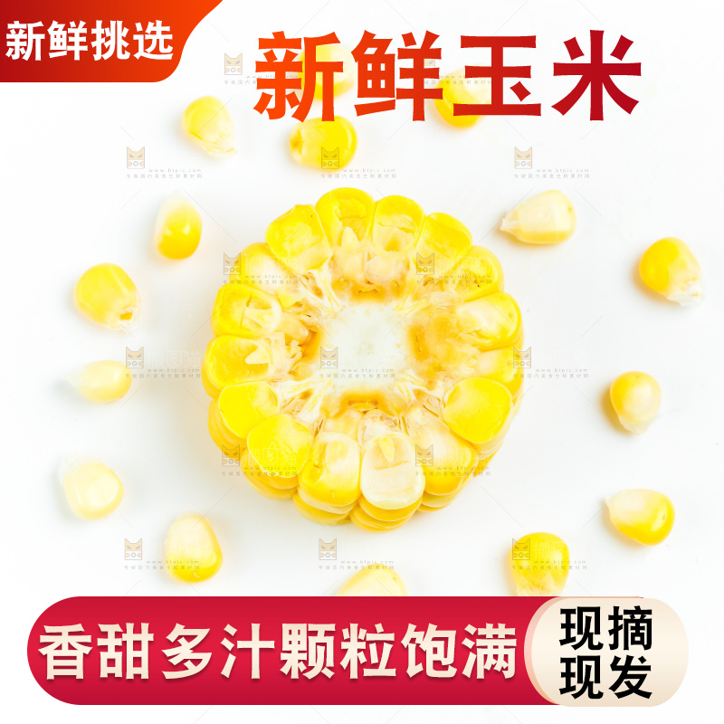 白底上的甜玉米