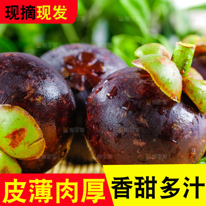 木底上的山竹