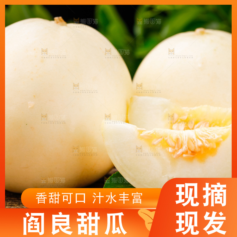 木底上的阎良甜瓜