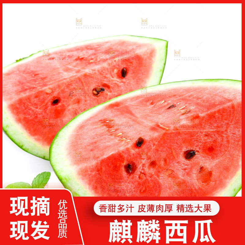 切开的麒麟西瓜放在白底上