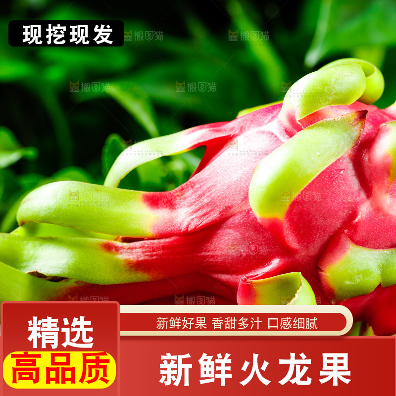 木底上放着海南红心火龙果