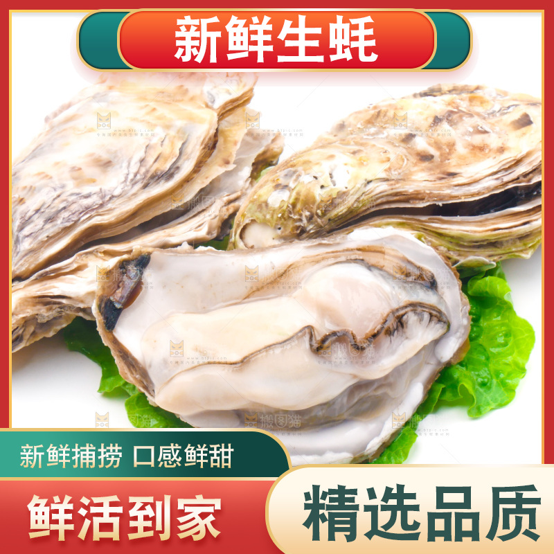 白底上放着乳山生蚝