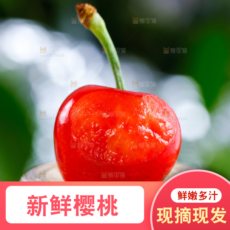 新鲜樱桃放在浅底上
