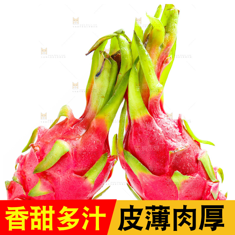白底上的火龙果