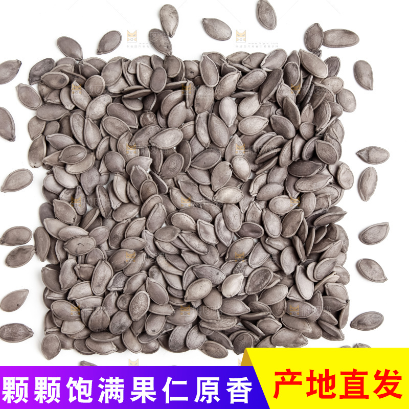 黑南瓜子放在白底上