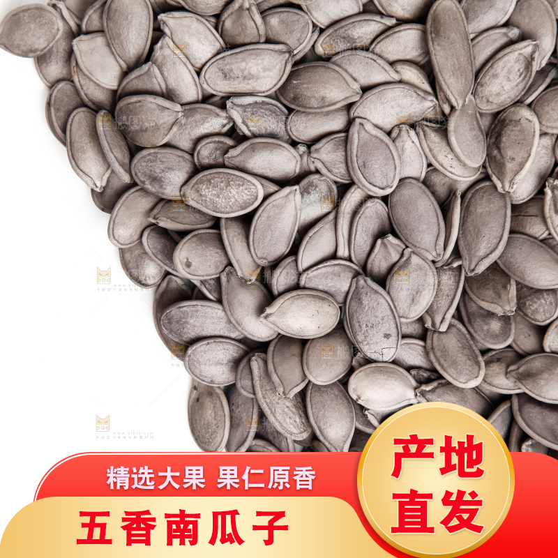 黑南瓜子放在白底上