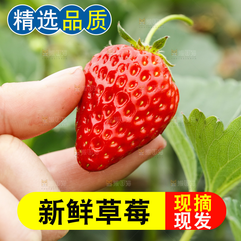 手拿草莓