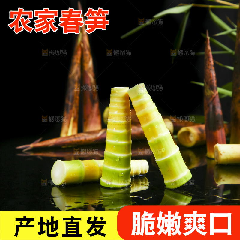 黑底上放着临安春笋