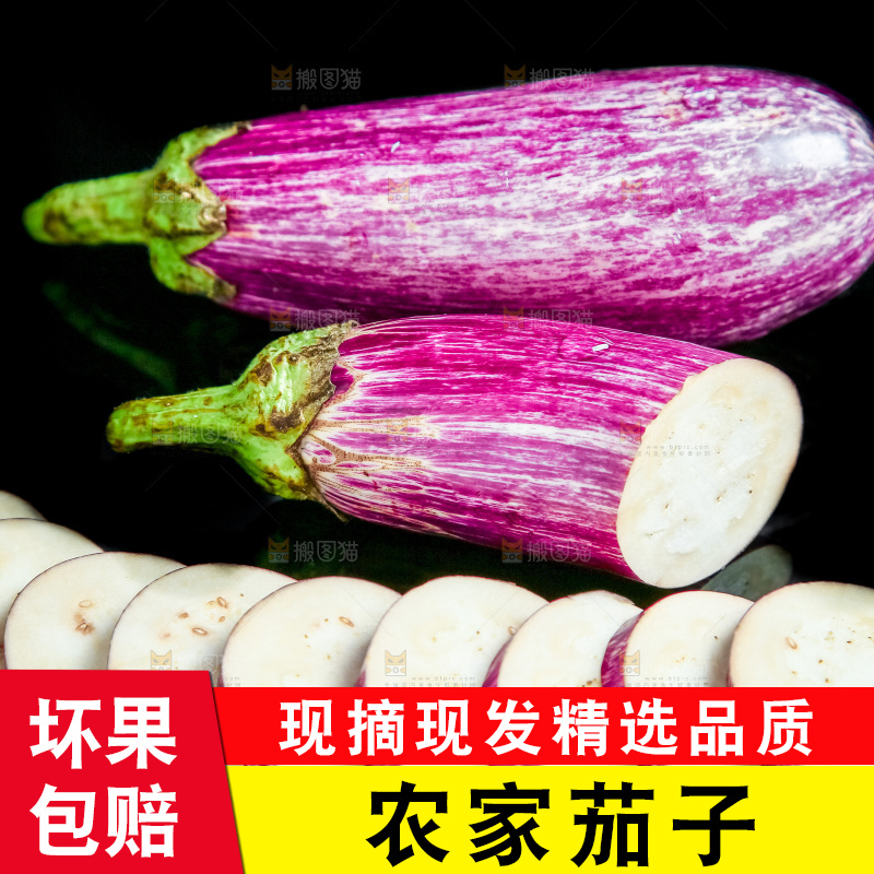 黑底上放着金丝茄子