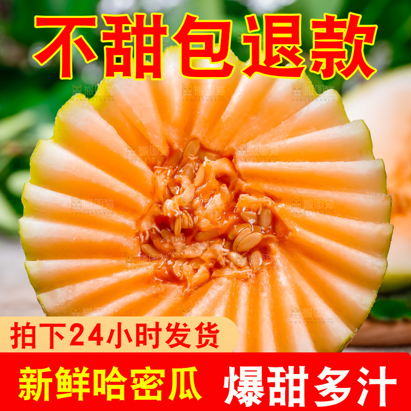 哈密瓜主图