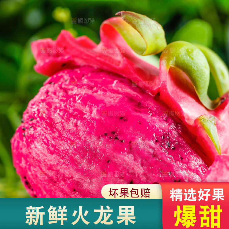 木底上放着海南红心火龙果