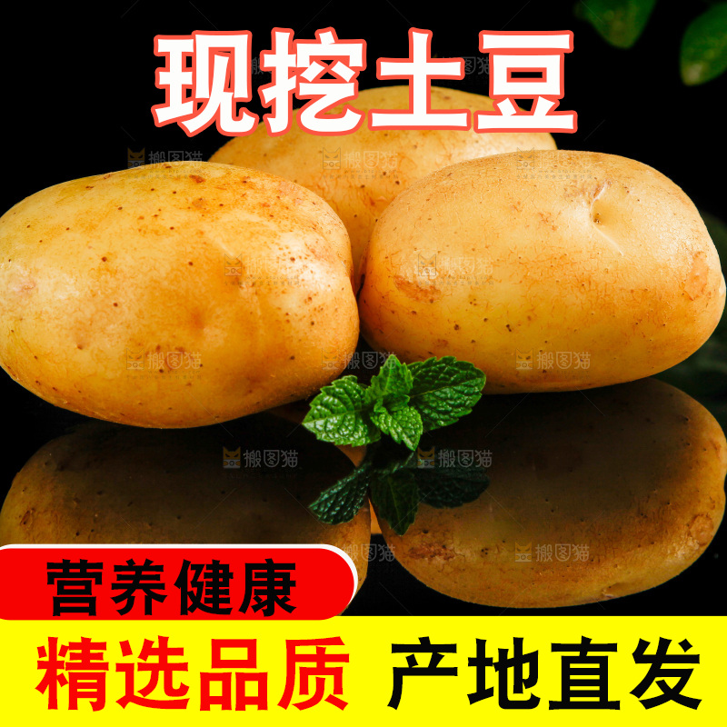 黑底上放着云南黄心土豆