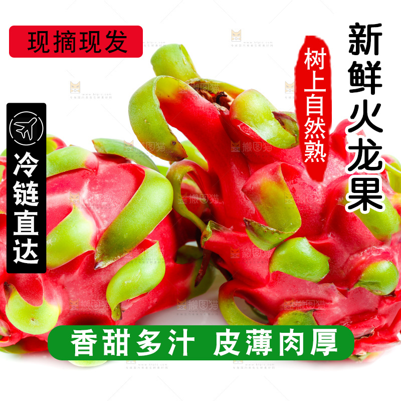 白底上的火龙果