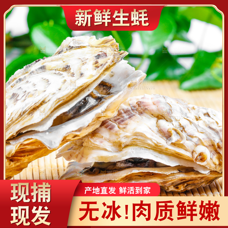 木底上放着乳山生蚝