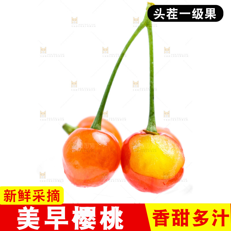浅底上的新鲜樱桃