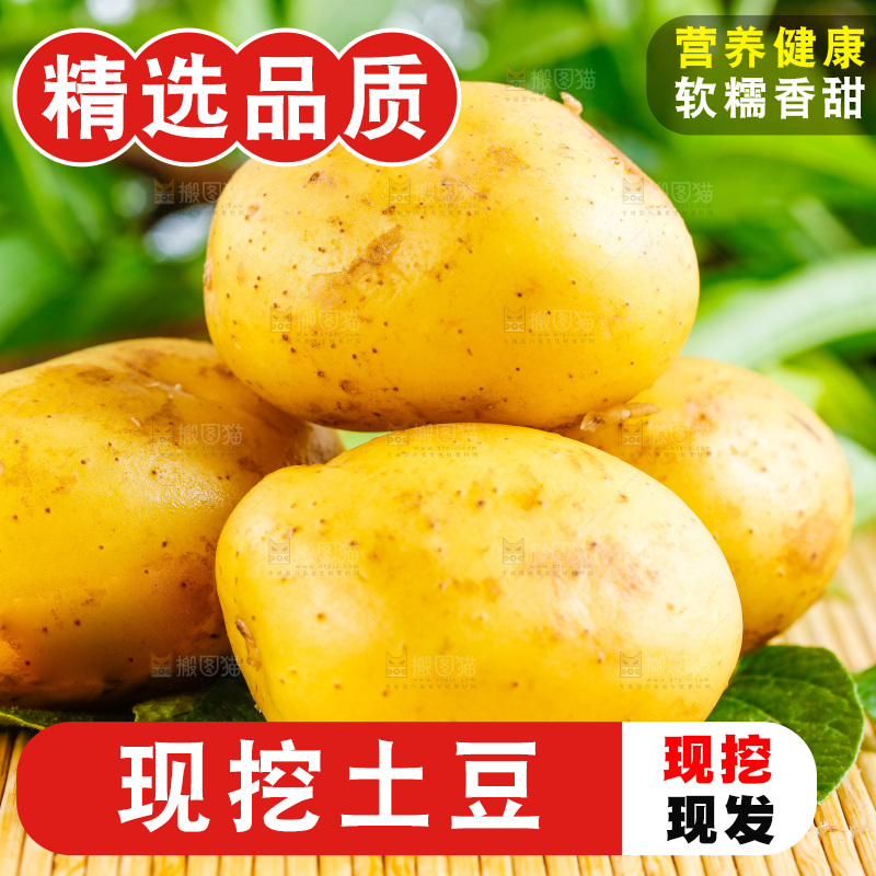 浅底上放着云南黄心土豆