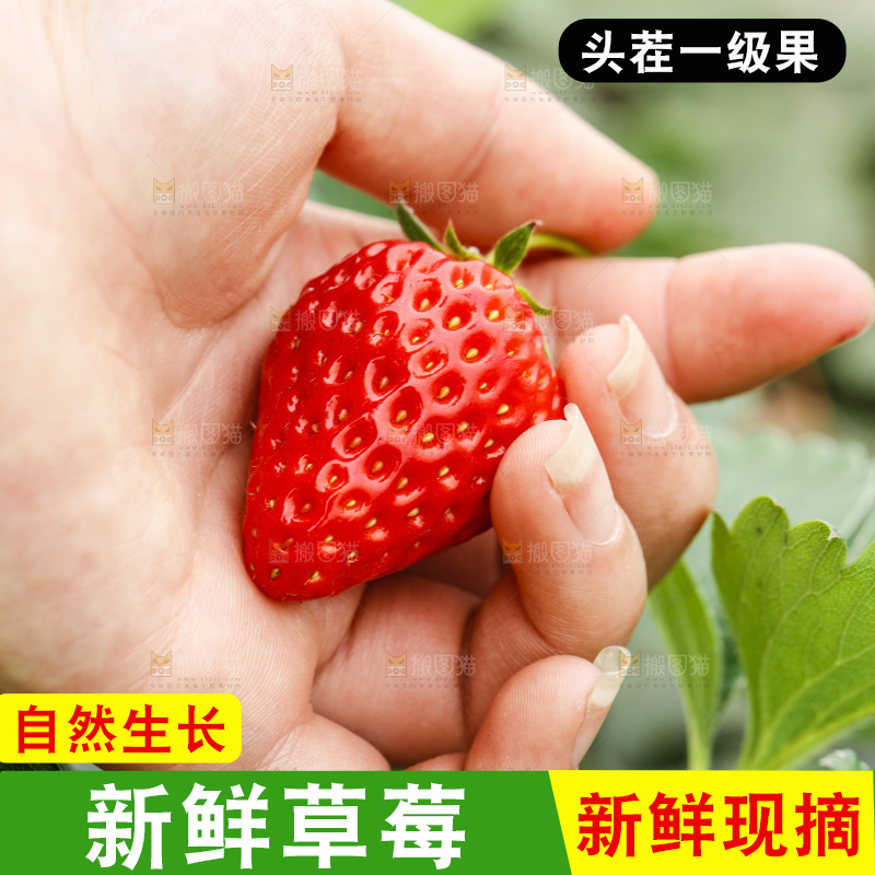手拿草莓