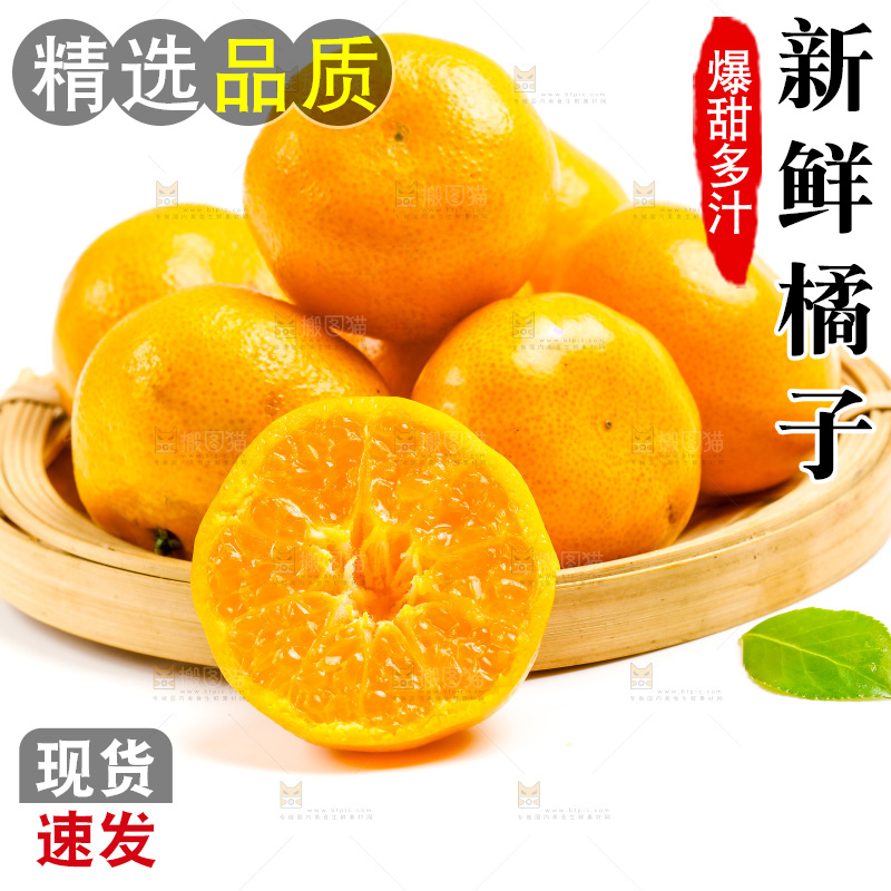 新鲜橘子放在白底上