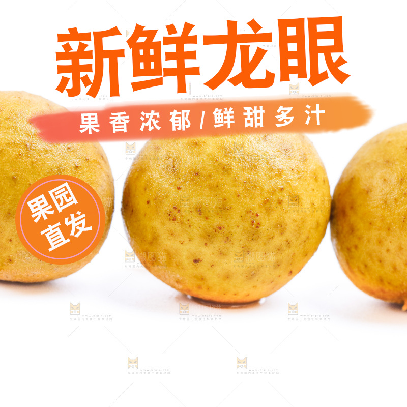 白底上的龙眼