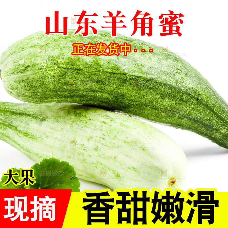 白底上的山东羊角蜜甜瓜