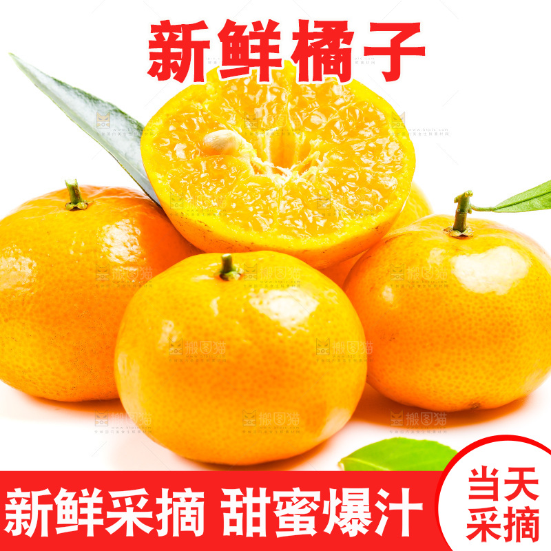 新鲜橘子放在白底上