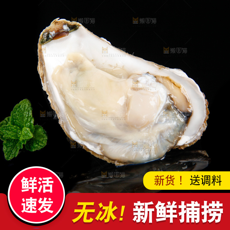 黑底上放着海蛎子