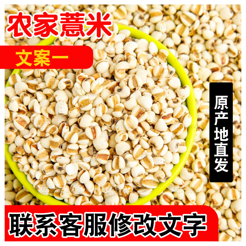 新鲜薏米放在白底上