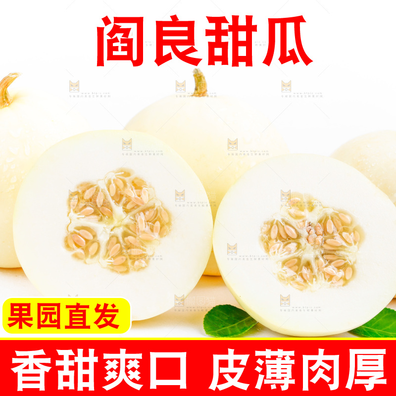 新鲜阎良甜瓜放在白底上