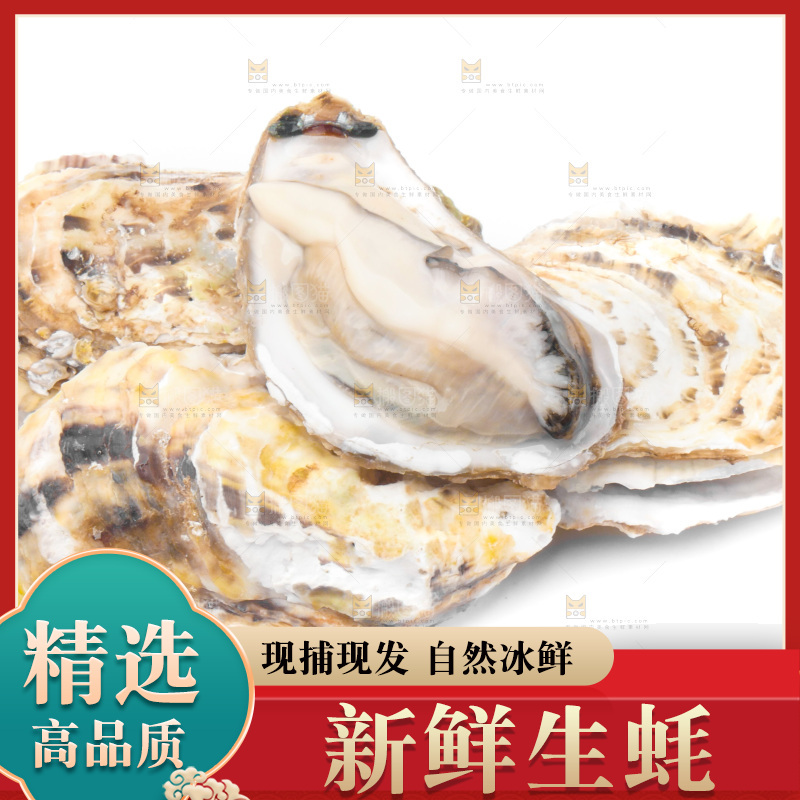 白底上放着海蛎子