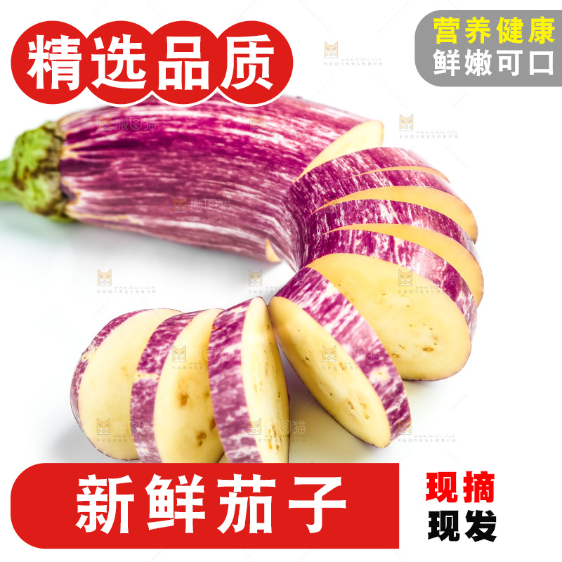 新鲜茄子放在白底上