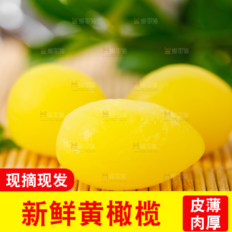 木底上的潮汕黄橄榄