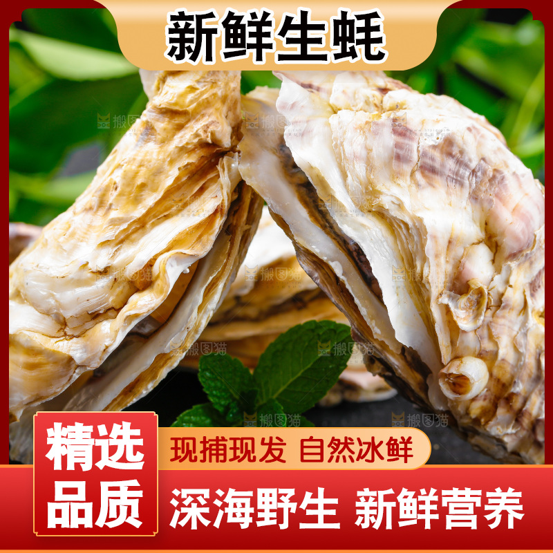 黑底上放着海蛎子