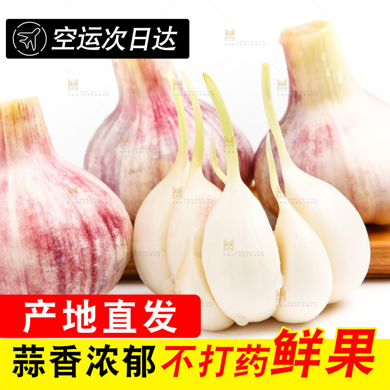 白底上的大蒜