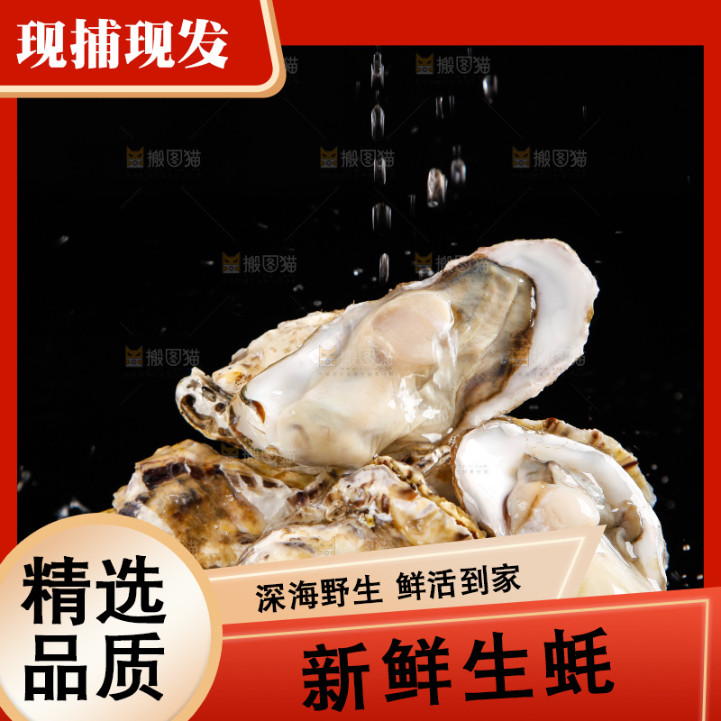 深底上放着牡蛎