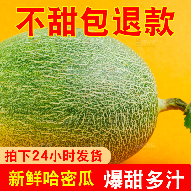 浅底上放着新疆哈密瓜