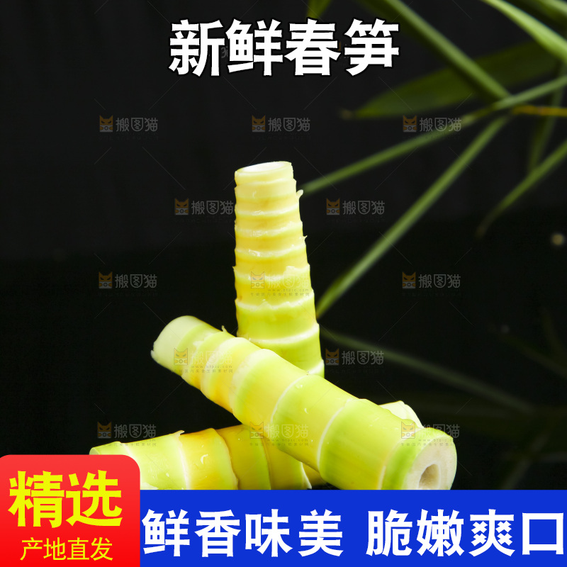 黑底上放着临安春笋
