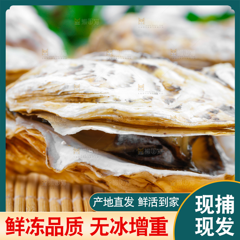 木底上放着海蛎子