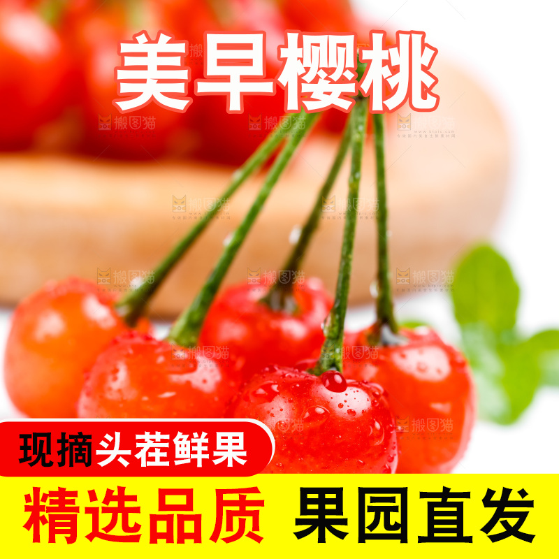 浅底上的新鲜樱桃