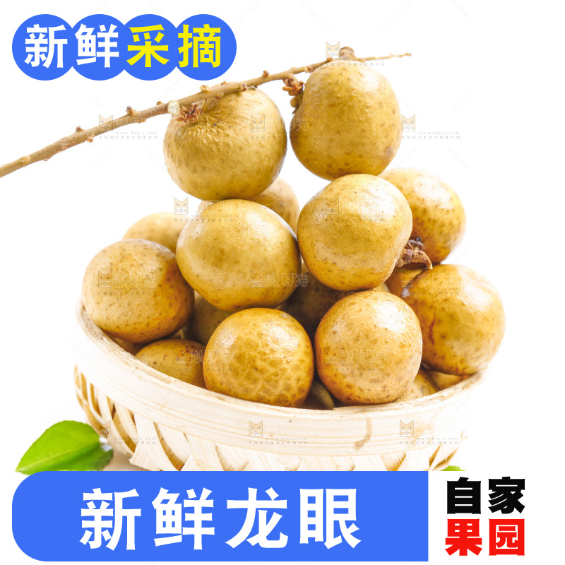 泰国龙眼放在白底上